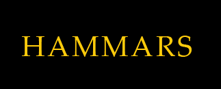 Logotyp
