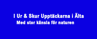 Logotyp