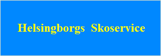  - helsingborgs_skoservice