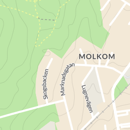 Molkom antik