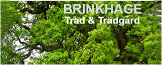 Brinkhage Träd & Trädgård AB