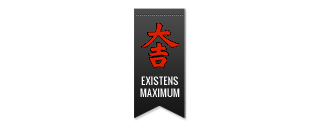 Existens Maximum Metodiken AB