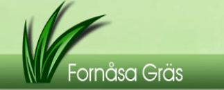 Fornåsa Gräs AB