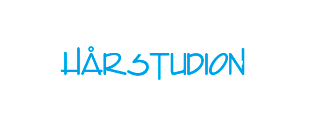 Hårstudion Mik'z AB