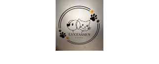 Lyxtassen