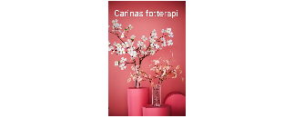 Carinas Fotterapi, Medicinsk Fotvård