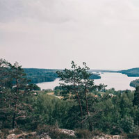 Hemsida