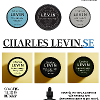 Charles Levin