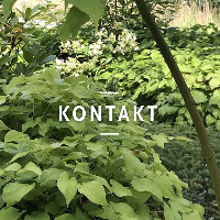 Kontakta oss