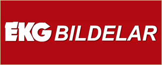 Ekg Bildelar AB