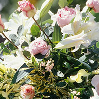 Blommor
