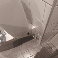 Sanitärfogning