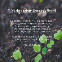 Tjänster