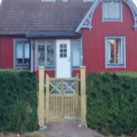 Tjänster