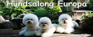 Hundsalong Europa