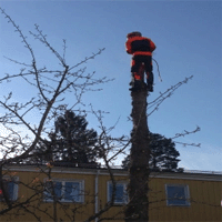 Kontakt