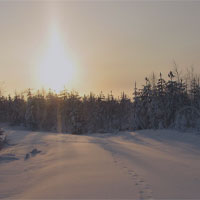 Fiske vinter