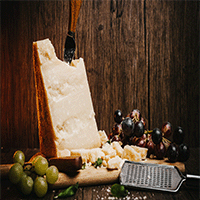 Produkter