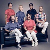 Team Bergström