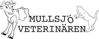 Mullsjöveterinären, Klaus Buddeberg