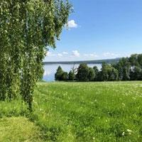Hemsida