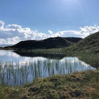 Åshild