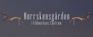 Norrskensgården