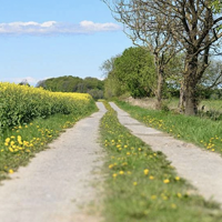 Aktuellt