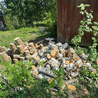 Tjänster