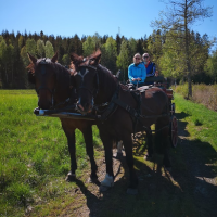 Hästupplevelse