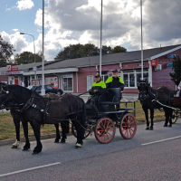 Kuskutbildning