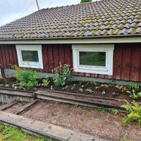 Tjänster