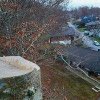 Arborist