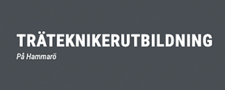 Träteknikerutbildning i Hammarö AB