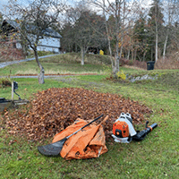 Tjänster