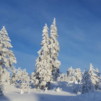 Vinter i Sälen