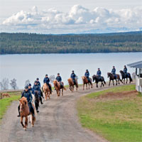 Utbildningar