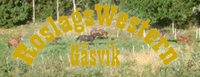 RoslagsWestern