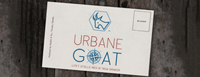 Urbane Goat
