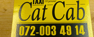 Cat Cab