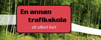 En Annan Trafikskola i Sverige AB