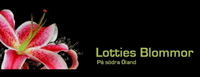 Lotties Blommor